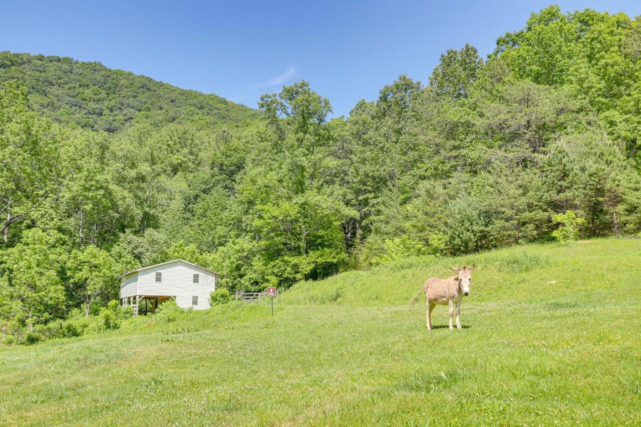 Weaverville Cottage Fishing Pond And Mountain Views Exterior foto